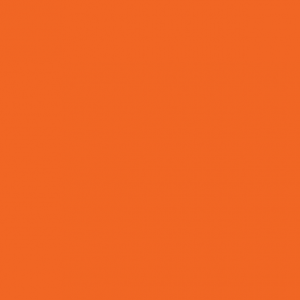 A pumpkin-coloured orange square.