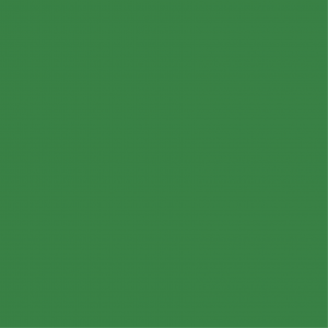 A dark, leaf green coloured square.