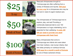 An example on showing where the money goes in a nonprofit focused on Chimp rehabilitation. $25 for x-rays, $50 per week for food, and $100 per month of formula.