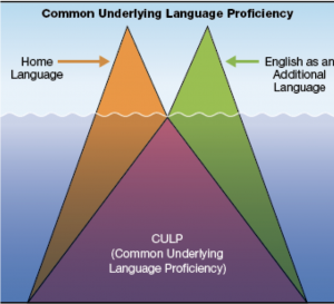 This image pictures common underlying proficiency. While the surface features of each language are "above the water", a common reservoir of knowledge is shared and can be used in any language.
