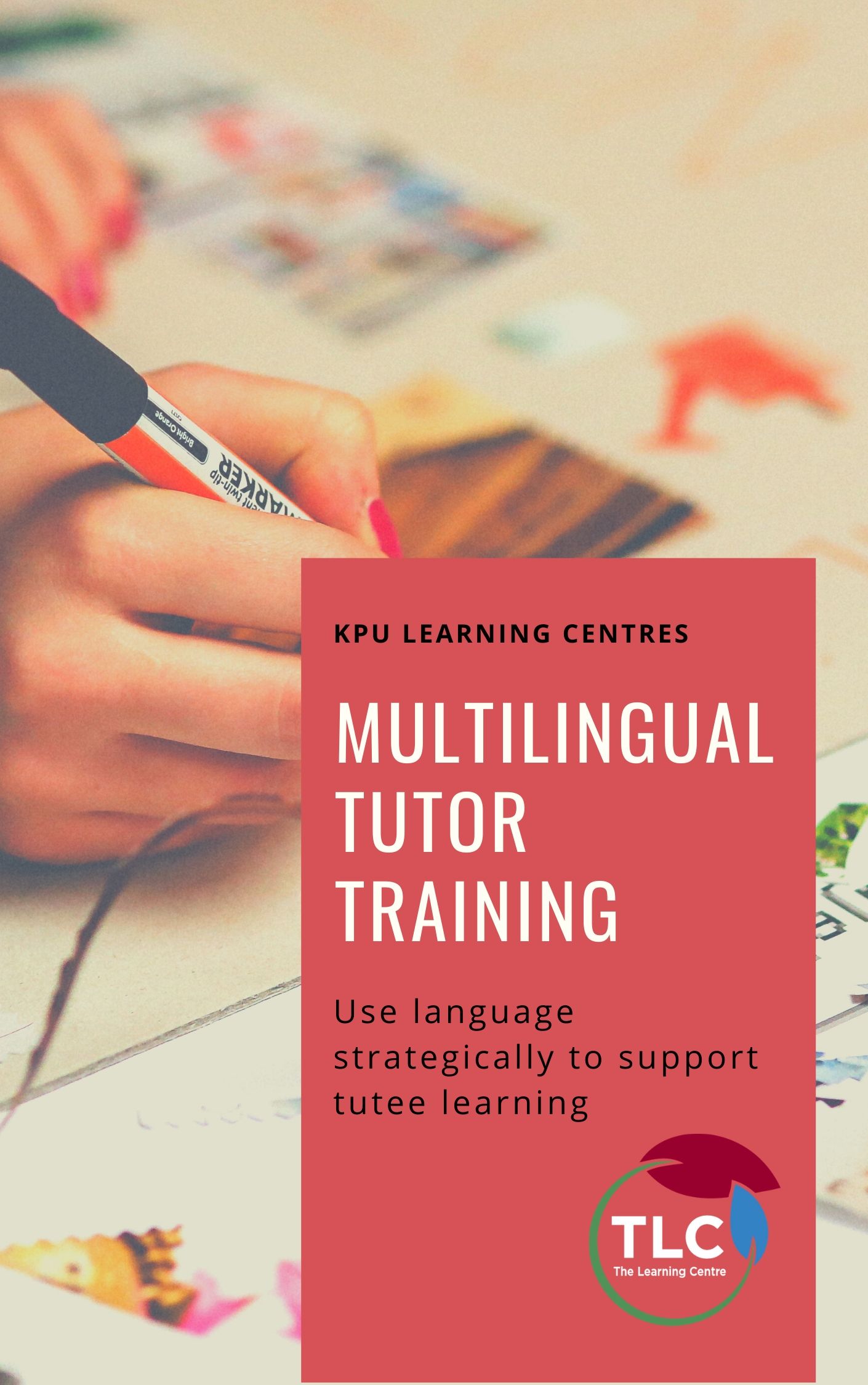 Cover image for Multilingual Tutor Training