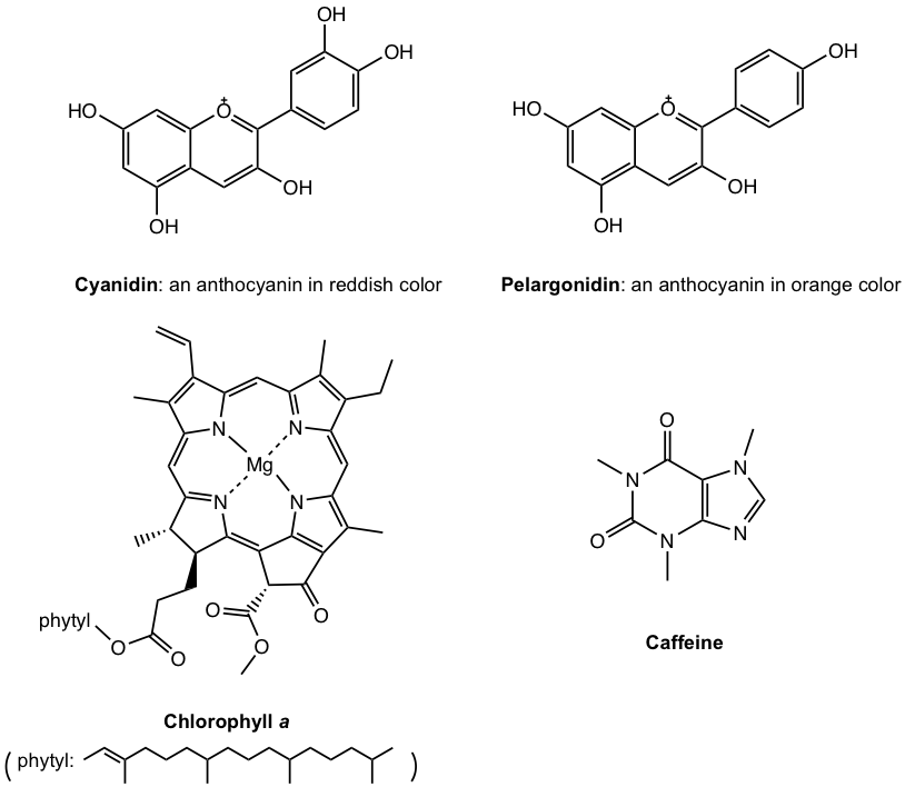 Introduction – Organic Chemistry I