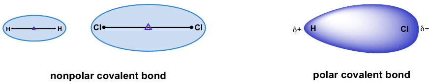 A polar covalent bond formed between a positive hydrogen atom and a negative chloride atom.