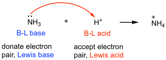 NH3 (BL Base donates electron pair) while the (H+) (BL acid accepts electron pair to create (NH4+)