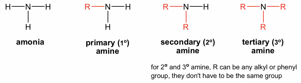 amine functional group