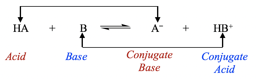 HA (acid) + B (base) = A- (conjugate base) + HB+ (conjugate acid)