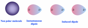 An instantaneous and induced dipole has a g+ and g- side as opposed to a non polar molecule