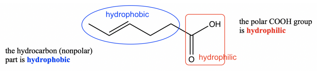 the hydrocarbon is hydrophobic (non-polar) and the COOH group is hydrophillic (polar)