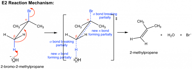 8.1 E2 Reactions – Organic Chemistry I