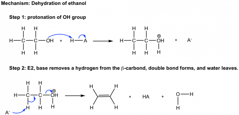 Synthesis Of Alkenes Organic Chemistry I