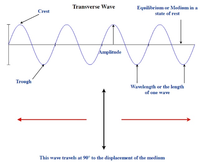 Transverse waves