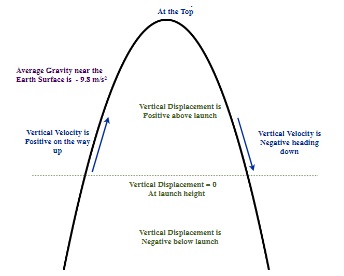 Vector Conventions for Vertical Motion