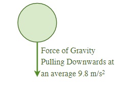 Force of gravity pulling downwards