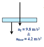 weight is the product of mass x gravity