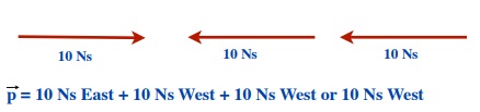 Momentum vector