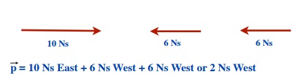 Momentum vector