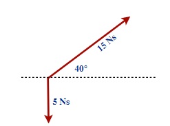 Momentum vector