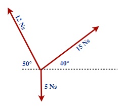 Momentum vector