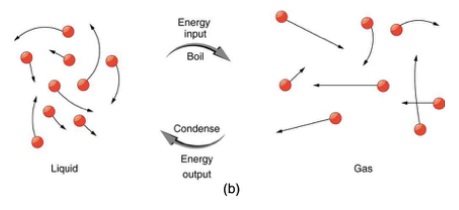 The four changes of state between liquid and gas