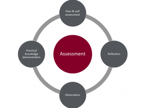 Diagram outlining the 4 components of assessment as identified by Johnson.