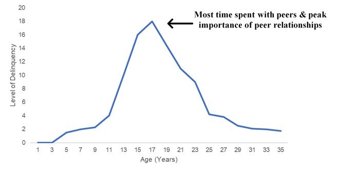A line graph charting the level of delinquency vs. age. It shows delinquency is highest around 17 years old, when more time is spent with peers.