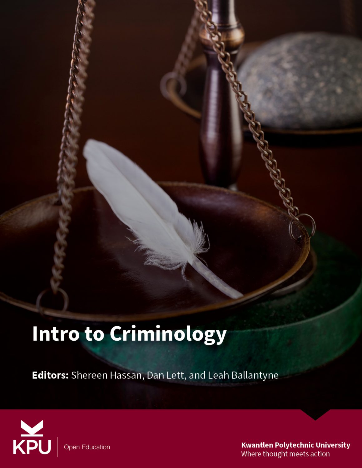Cover image for Introduction to Criminology