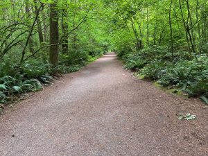 Tree lined pathway in Green Timbers Urban Forest