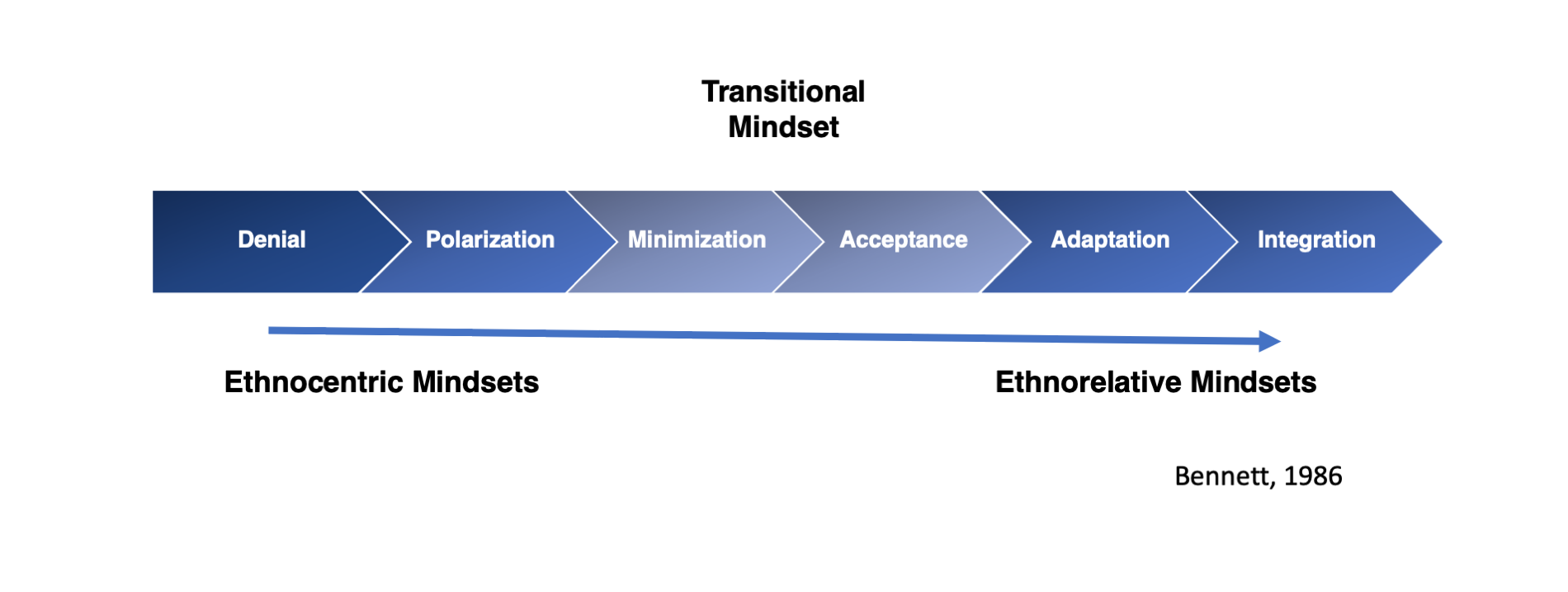 The Developmental model of intercultural sensitivity begins with two ethnocentric mindsets: Denial and polarization. It then moves to the transitional mindset of minimization. Then, the model moves towards the three ethnorelative mindsets of acceptance, adaptation, and integration.