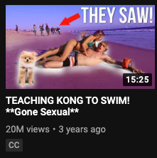 A screenshot of a video called Teaching Kong to Swim