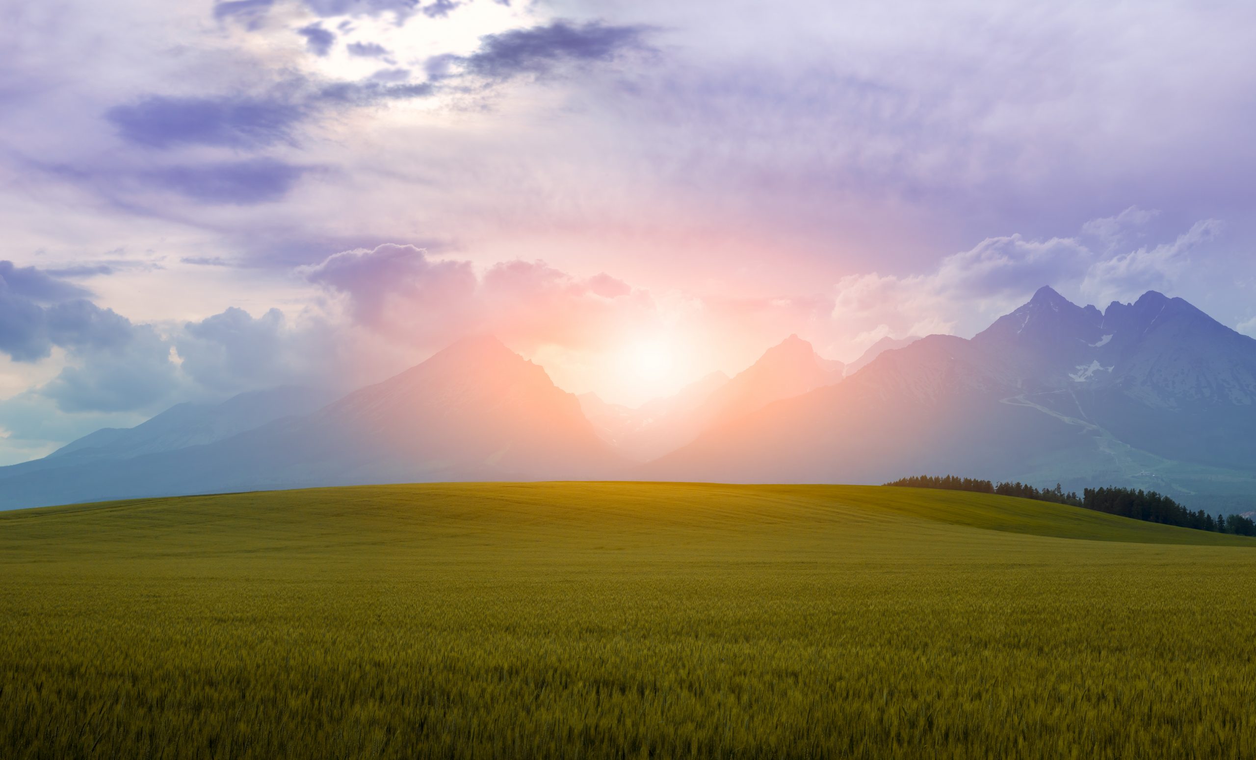 Green grass of the prairies with the mountains on the horizon as the sun is setting for the day.