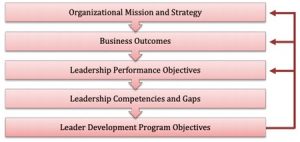 The program objectives involve looking at performance objectives, business outcomes, and organizational mission and strategy