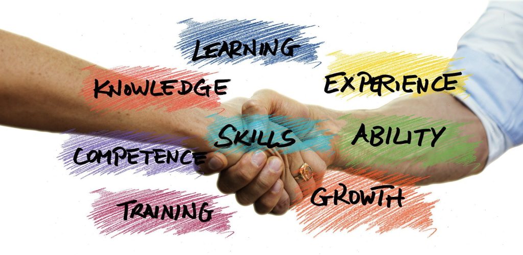 Areas of development as skills, ability, growth, training, competence, experience, knowledge, and learning