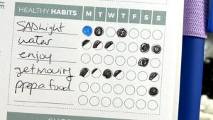 "A list of items called 'healthy habits' with circles to colour in if the habit was done by each day of the week. The habits listed are: SAD light, water, enjoy, get moving, and prep a food."