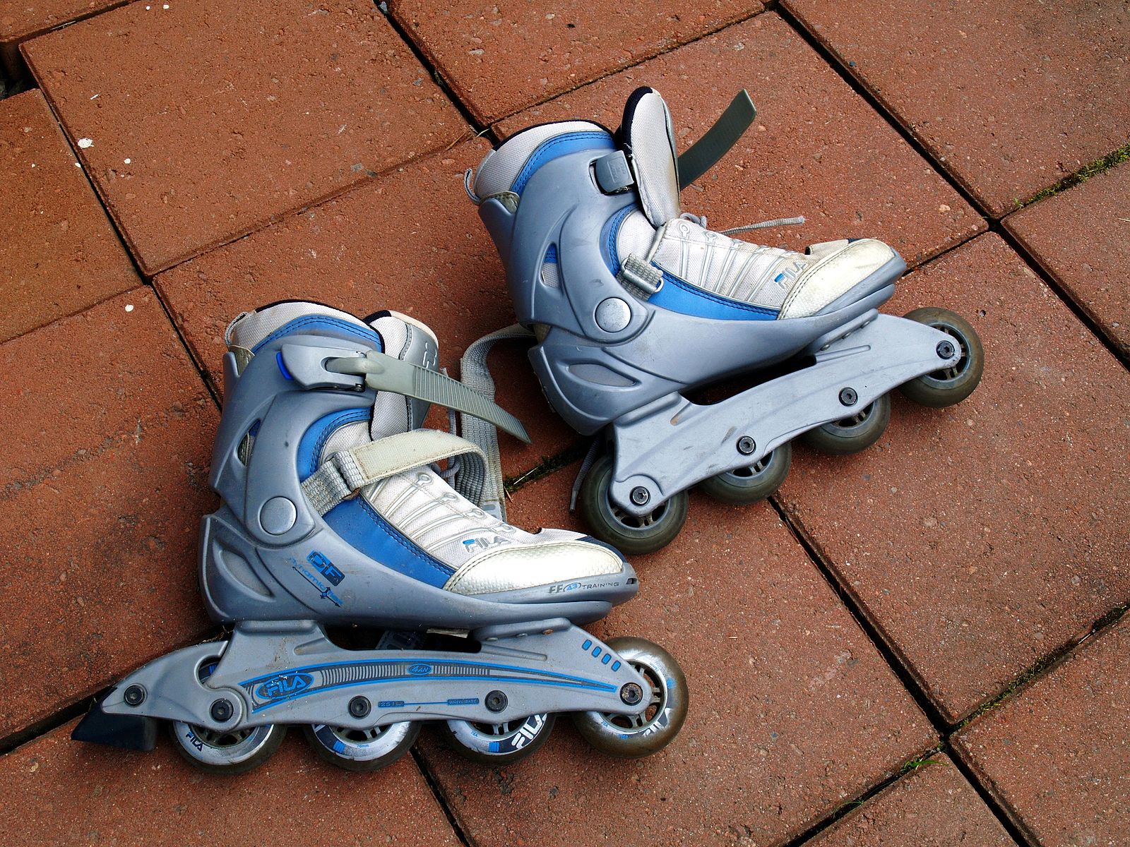 Two roller skates lying on the floor.
