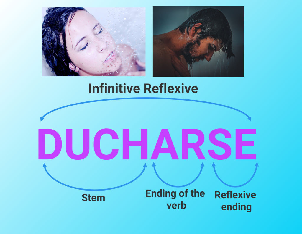 An image showing the components of an infinitive reflexive verb.