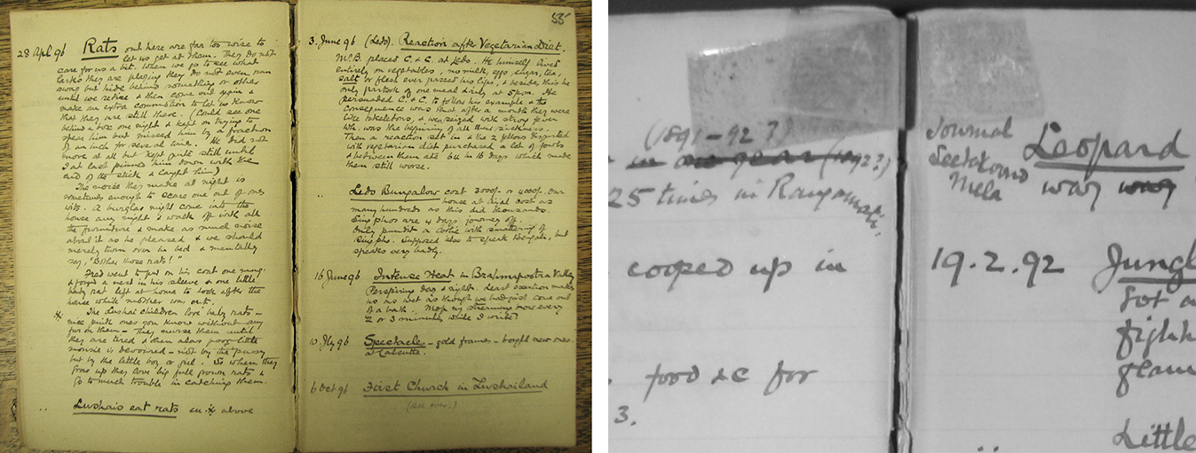 Left: Typical Logbook pages (1896), showing damage to the notebook's central joint. Right: Detail showing failed adhesive (1892)