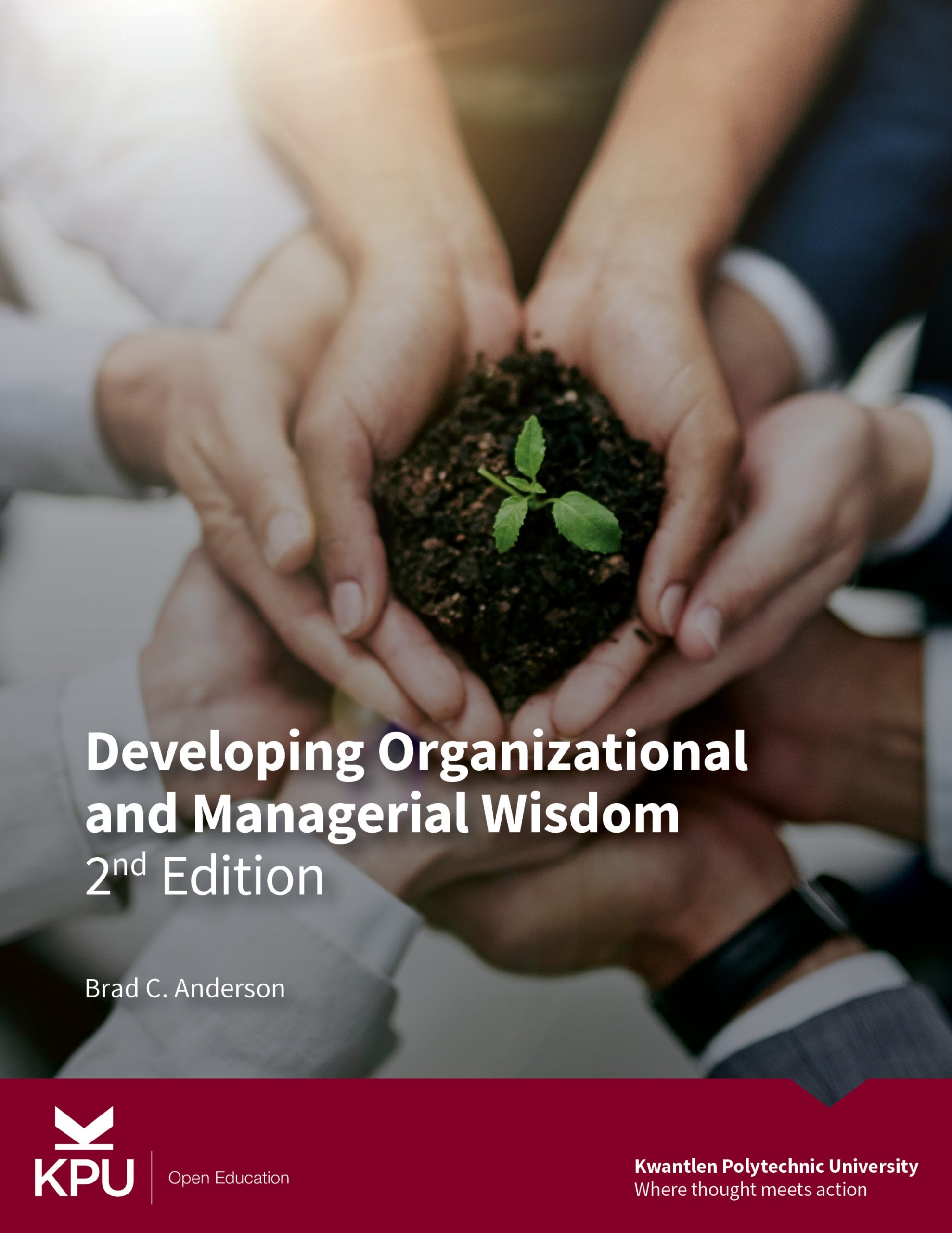 Cover image for Developing Organizational and Managerial Wisdom - 2nd Edition (Audio plus text version)