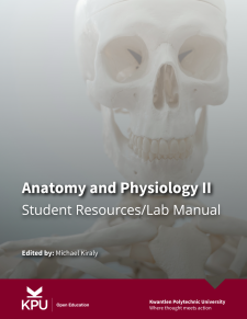 Anatomy and Physiology II book cover