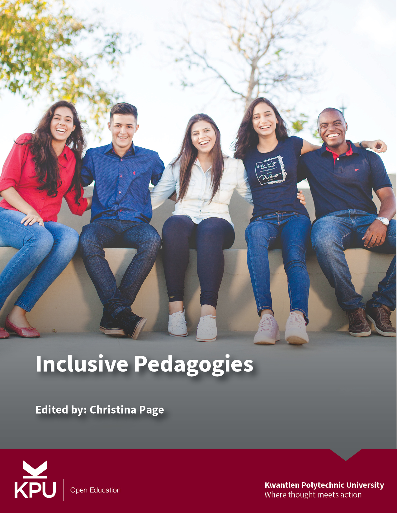 Cover image for Inclusive Pedagogies