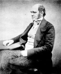 Portrait of Charles Darwin