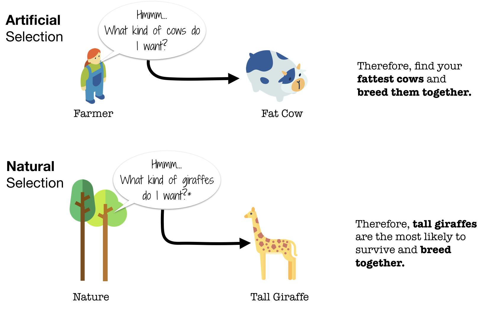 Evolution and Evolutionary Psychology Evolutionary Psychology