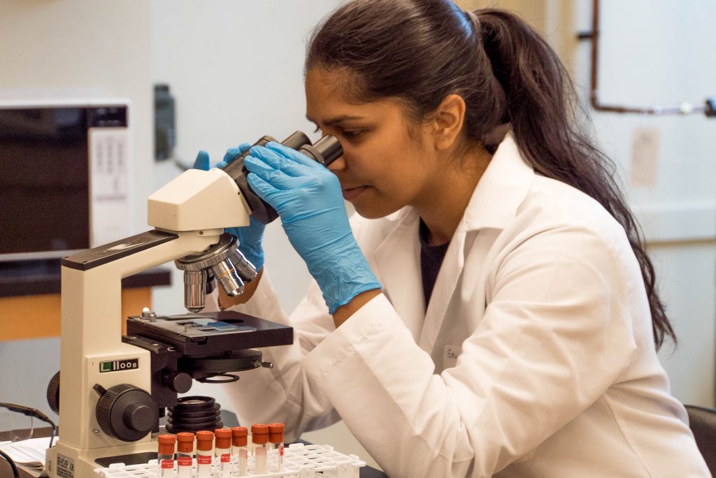 A scientist looks into a microscope.