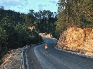 Persona caminando por un camino con árboles a ambos lados