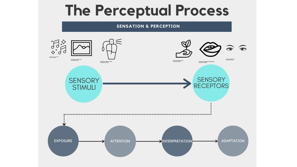 The Perceptual Process Introduction To Consumer Behaviour