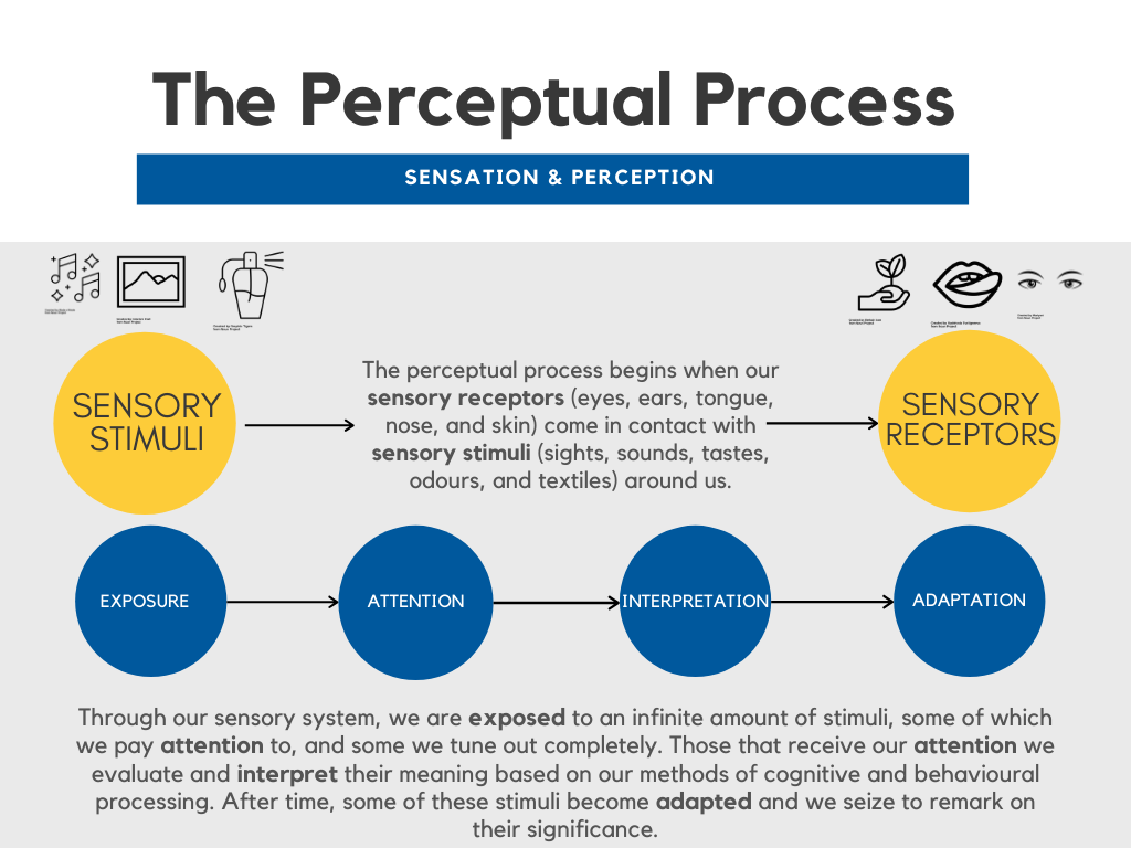 the-perceptual-process-introduction-to-consumer-behaviour