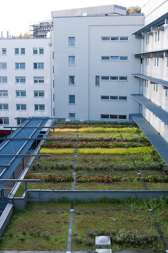 Figure 9.1 Example of an extensive green roof